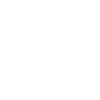 America Icon